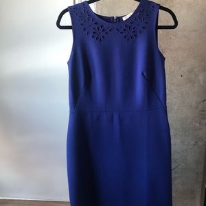 Loft Blue Dress
